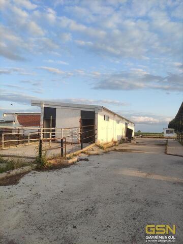 17-İZMİR DİKİLİ BAHÇELİ MAHALLESİNDE DENİZE 3. PARSEL 48.000 M2 İÇERİSİNDE KURULU 4000 BÜYÜKBAŞLIK RUHSATLI ÇİFTLİK